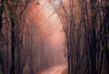 K1体育:法甲图卢兹VS巴黎圣日耳曼预测分析:图卢兹一门+主力中卫回归,但主力中锋新增伤情!.